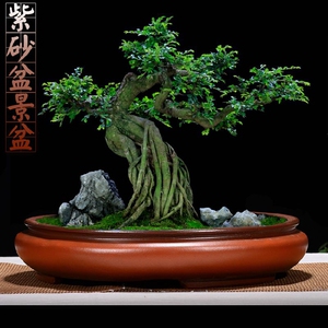 山水盆景盘图片