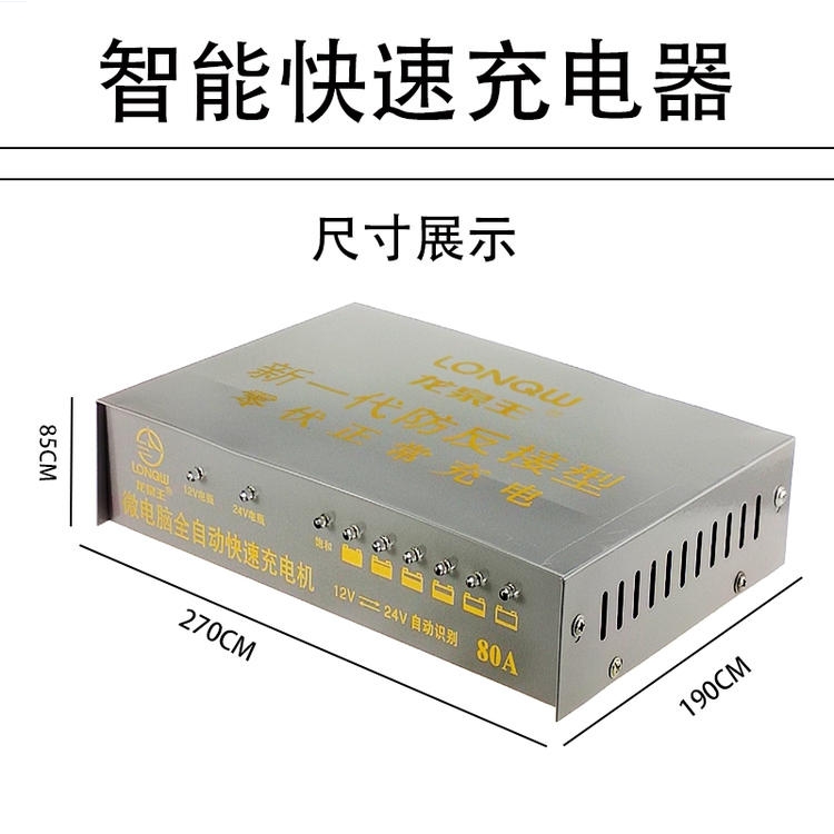 龙泉王汽车电瓶充电器12V2V纯铜功率修复通用型蓄电池充电机