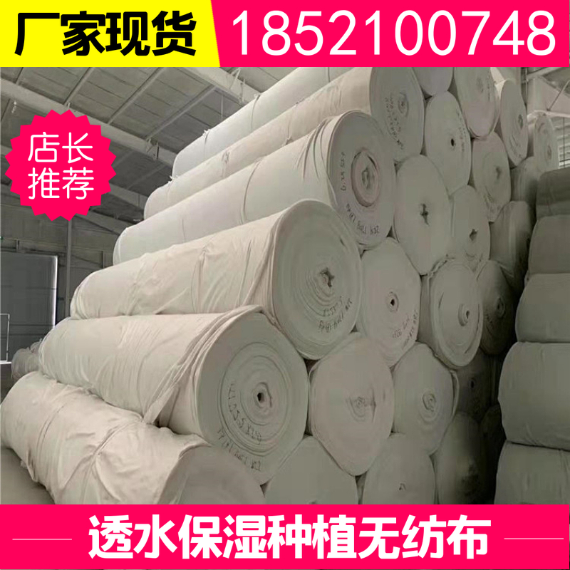 绿化种植隔离透水无纺土工布道路工程养护布养殖场保温布200g300g在类目 鲜花速递/花卉仿真/绿植园艺, 园艺用品, 其它园艺用品中 - 来自Buy2taobao.com提供专业的淘宝代购服务