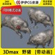 3D模型3DMax动物模型3D野猪FBX动画文件Boar豪猪山猪Unity猪pig