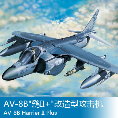 小号手 1/32 AV-8B鹞II+改造型攻击机 02286