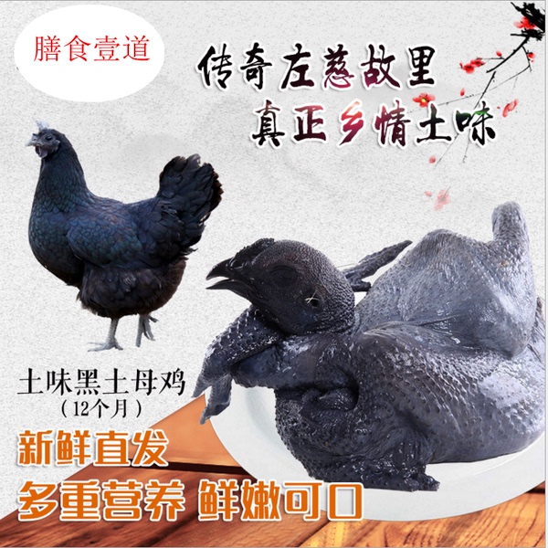 2只包邮泰和乌鸡 原种乌鸡 农林散养土乌骨鸡 黑乌骨鸡现杀乌鸡