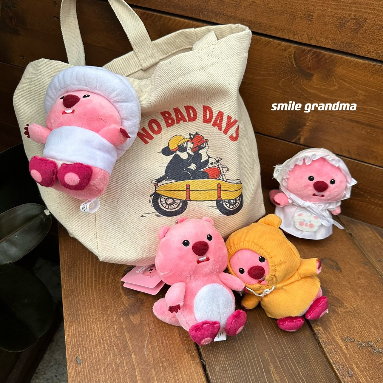 9韩国小海狸loopy露比玩偶睡觉抱公仔毛绒娃娃玩具送女友生日礼物已售