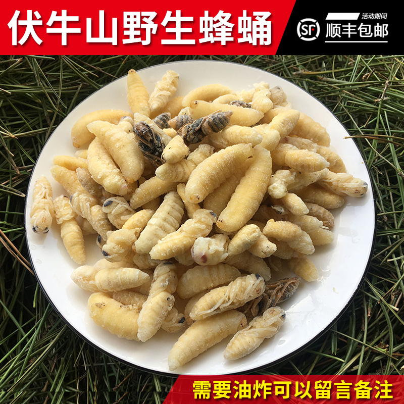 深山野生蜂蛹油炸蜂蛹虎头蜂蛹地雷蜂蛹黄蜂马蜂个大新鲜活体蚂蜂