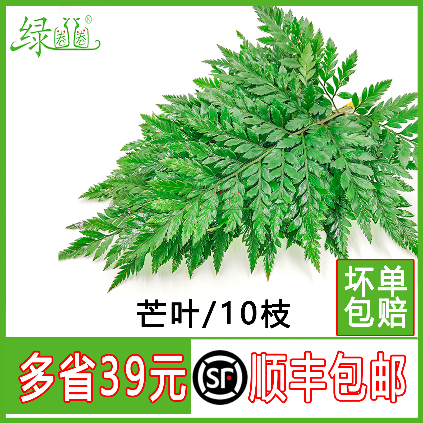 新鲜杨子叶 高山羊齿叶 芒叶 花草酒店西餐烘焙摆盘装饰点缀10支