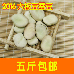 2016新货干蚕豆 白皮蚕豆大板豆罗汉豆生胡豆生蚕豆种子 5斤包邮
