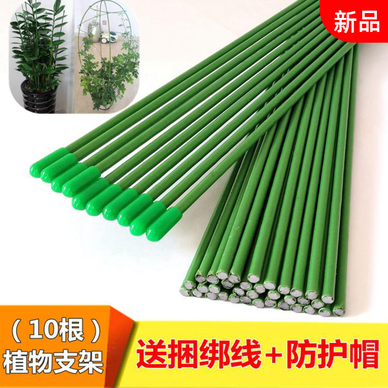 solid Wire Plastic bag Flower rod Fengweizhu Bracket Money Tree Potted plant Hydrangea Righting brace Flower pot Plungerin the Flower delivery/Flowers simulation/Plants gardening , Gardening supplies , Other Garden Supplies category - from Buy2taobao.com to provide professional Taobao agent buy service