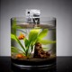 圆柱形玻璃鱼缸 大小号直筒水培金鱼缸客厅 乌龟缸造景水族箱