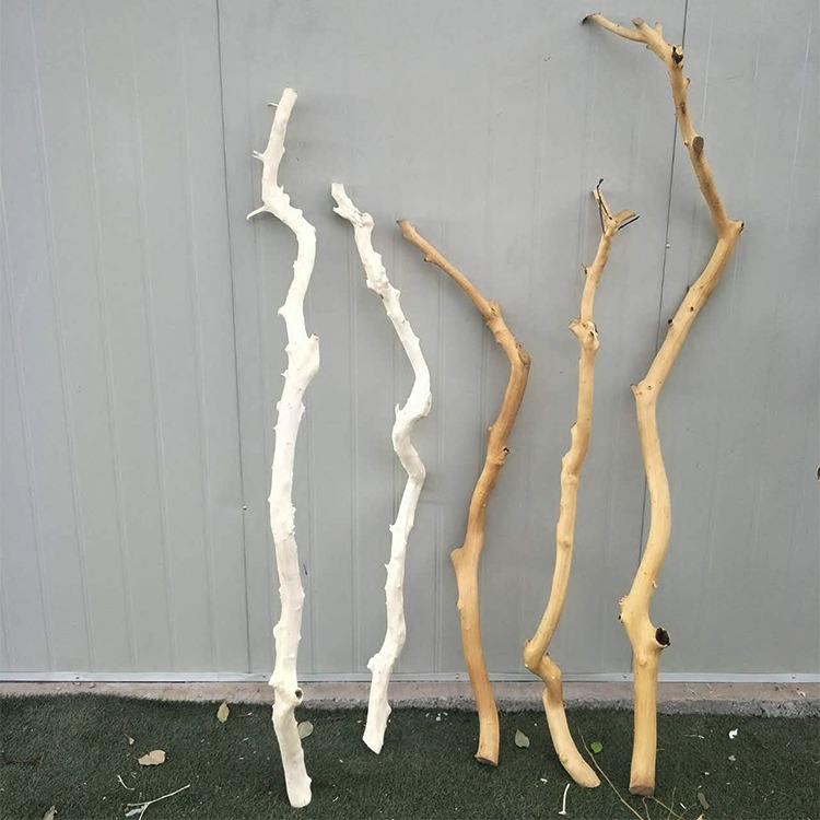 干树枝原木杈艺术干枝枯枝枯木树干树木造型壁挂衣架吊顶树枝装饰