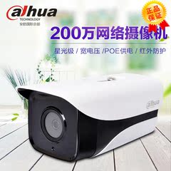 大华200万1080P星光级监控摄像头 DH-IPC-HFW2223M-I2高清夜视POE