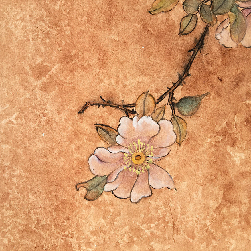 李佐《蝶恋花》水彩画