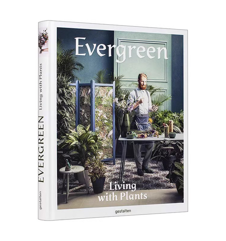 现货包邮 Evergreen: L