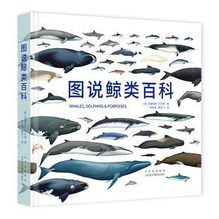 正版包邮 图说鲸类百科 地球现存90个鲸类物种全收录 权威海洋专家系统解读 珍稀濒危海洋哺乳动物鲸类 少儿百科全书