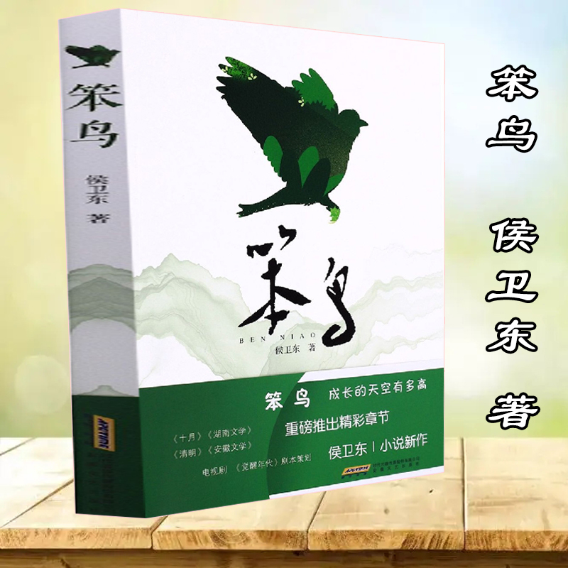 笨鸟:致我们的童真年代 侯卫东 著  觉醒年代同作者小说 青少年儿童文学读物小学生课外阅读书籍三四五六年级 成长励志故事书籍