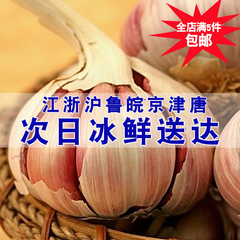 【青年菜农】云南新鲜大蒜农家自种 大蒜头紫皮鲜蒜500g蔬菜