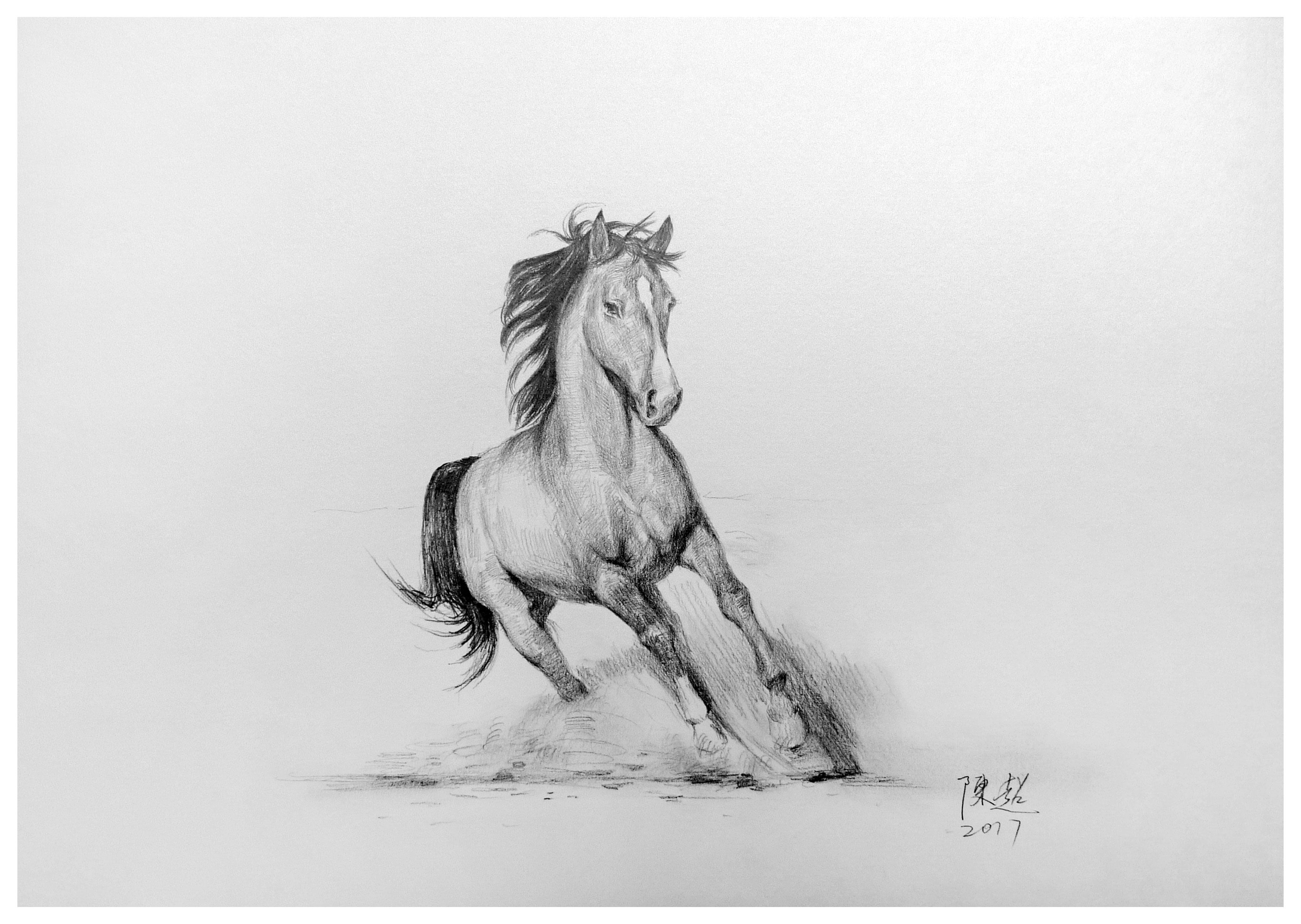 【学院艺术】陈超《马到成功》素描