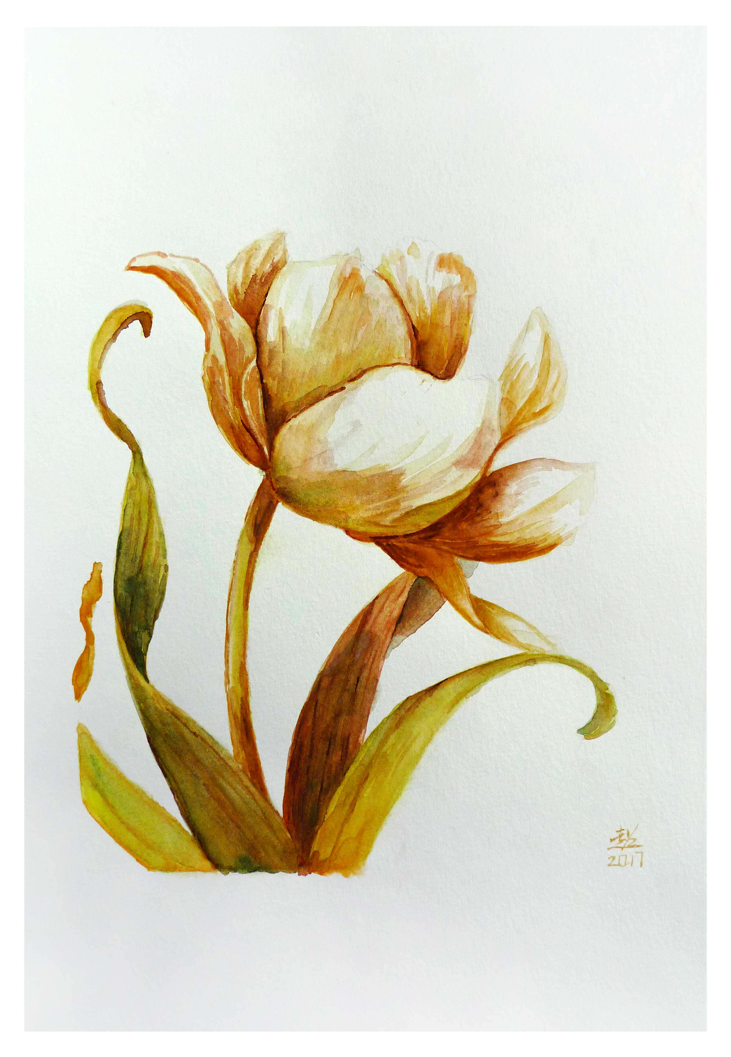 陈超《玉兰花》水彩