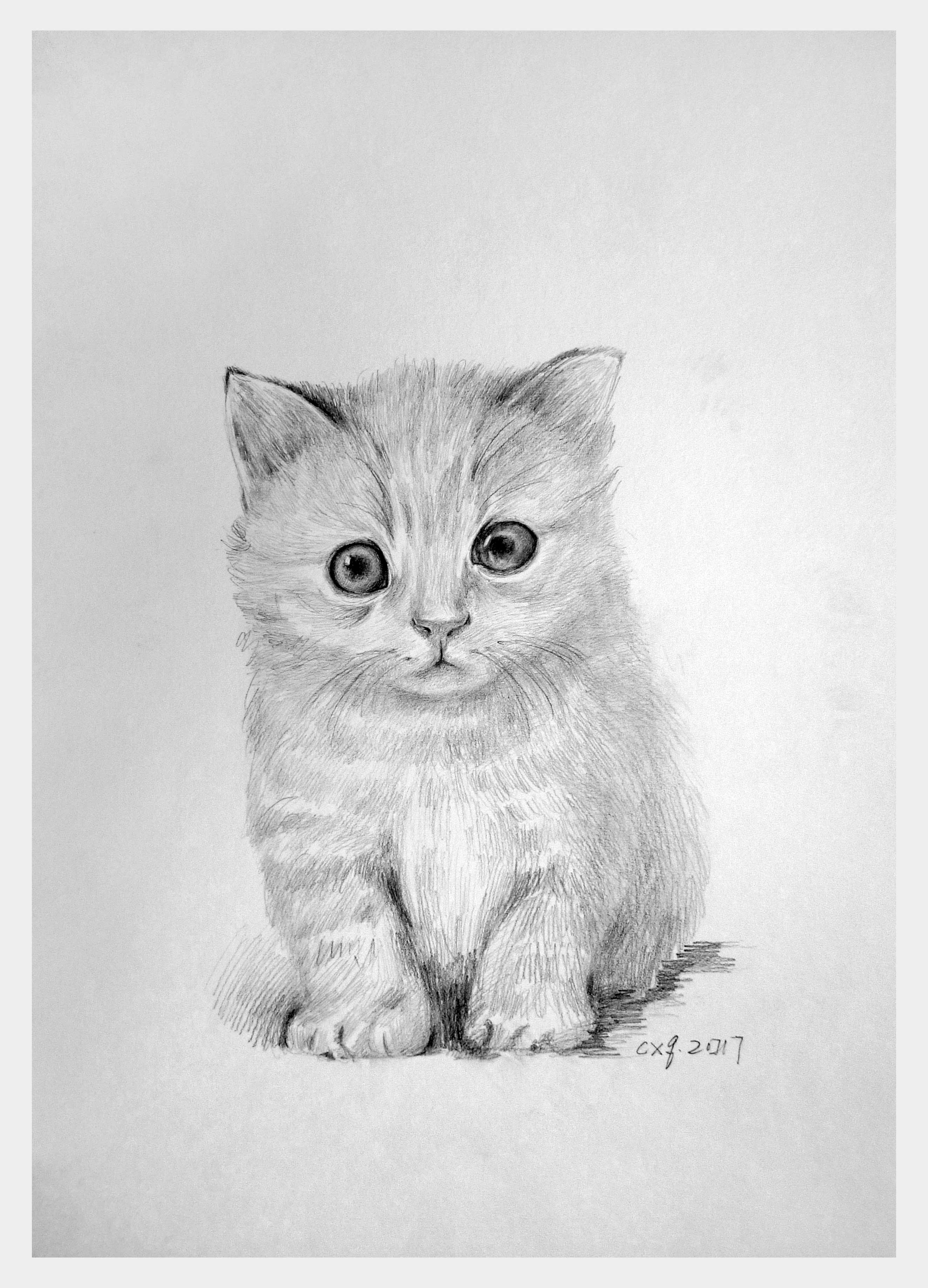 陈晓青《猫咪系列六》素描