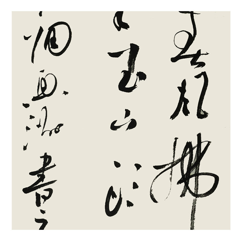 蔡兴洲《书法》中书协会员