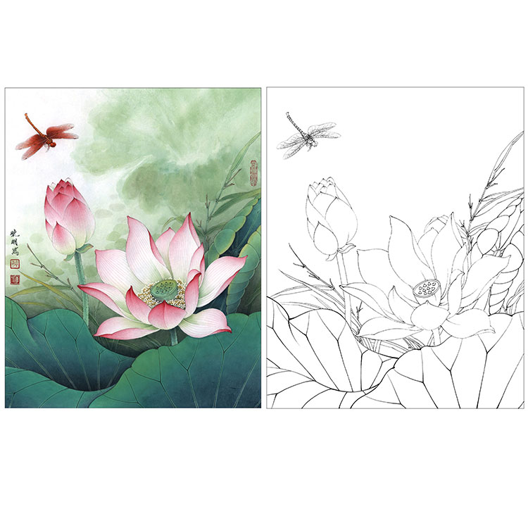 ke14李晓明工笔荷花白描底稿荷花红蜻蜓有步骤图