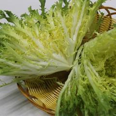 新鲜蔬菜黄心苦菊 苦苣 黄心苦叶生菜 狗牙 沙拉菜 西餐配料 250g