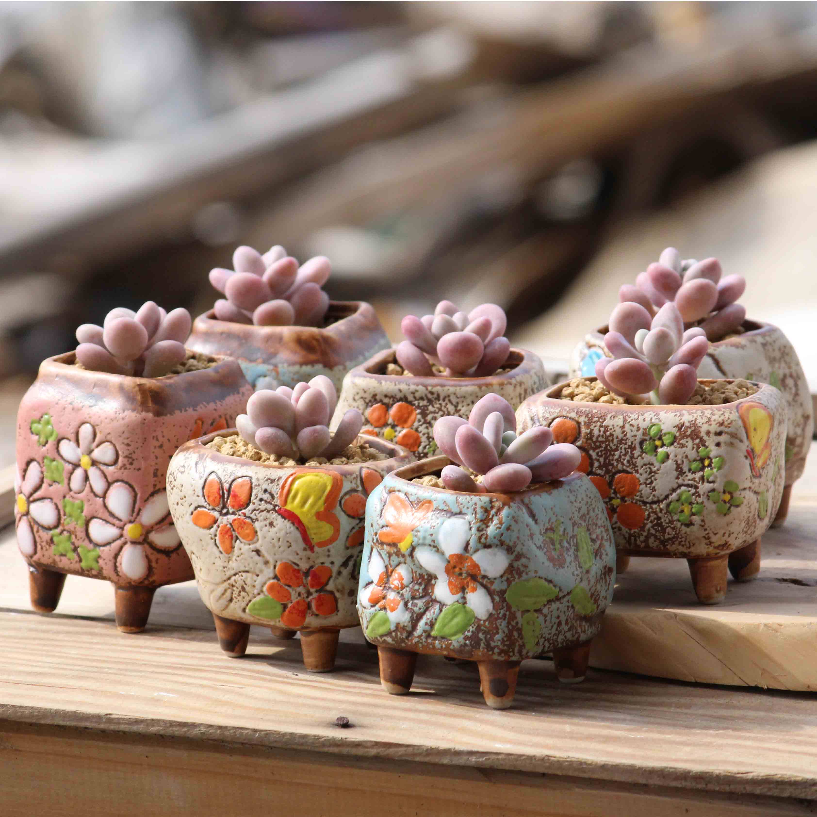 韩式手绘拇指盆粗陶透气盆浮雕手工创意盆控型小花盆微景观肉肉盆