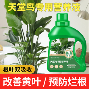 天堂鸟营养液客厅植物专用肥水培鹤望兰盆栽改善黄叶绿植复合肥料