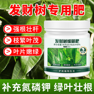 发财树专用肥料缓释肥室内盆栽绿植养花植物通用氮磷钾复合花肥料