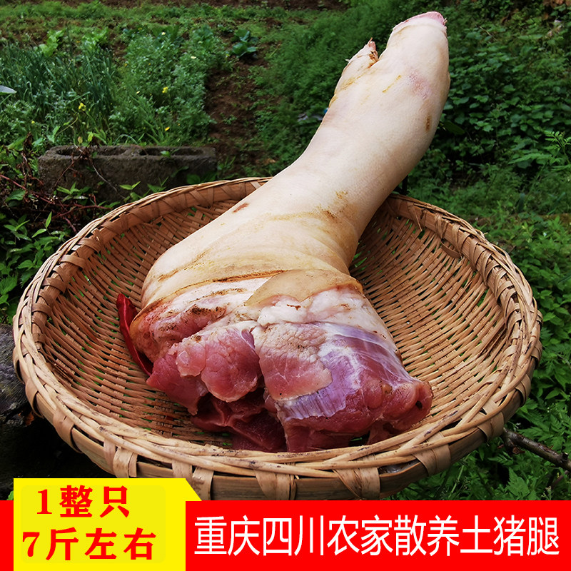 新鲜生猪蹄猪脚冷鲜7斤整只肘子重庆四川农家散养黑白猪土猪肉