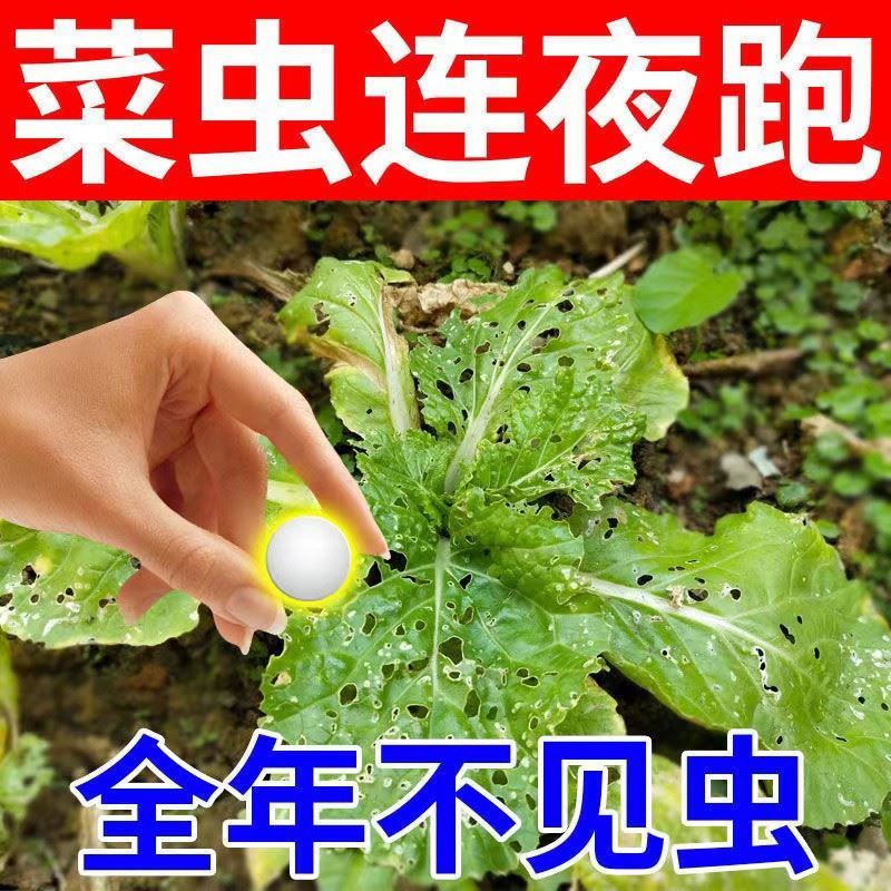 菜地杀虫剂驱虫药家用园艺防虫片蔬菜果树植物防蚜虫白粉虱红蜘蛛