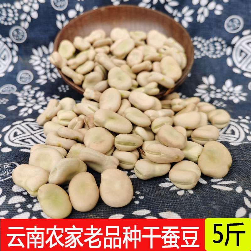 2023干蚕豆 新鲜散装蚕豆5斤罗汉豆胡豆可做种籽炸生蚕豆种新货