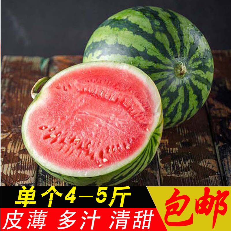 黑美人西瓜_现摘海南麒麟瓜 1个装约4-5斤新鲜包邮水果西瓜优惠券