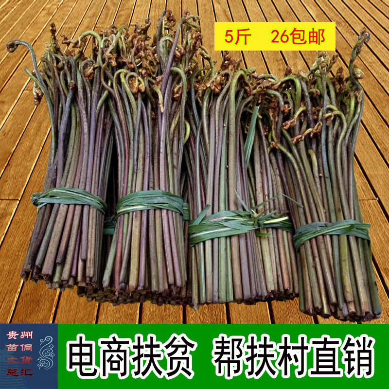 包邮新鲜蕨菜贵州野生龙爪菜拳头菜农家特产生鲜蔬菜时令现摘野菜