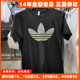 阿迪达斯三叶草女装短袖Adidas夏新款运动休闲透气上衣T恤 HB9435