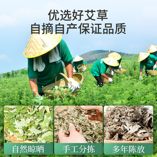 泡脚药包艾叶草干艾草叶家用洗澡产后坐月子气端午新鲜艾篙