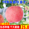 現貨19年頭茬紅富士蘋果新鮮水果脆甜不打蠟孕婦當季蘋果帶箱5斤 現貨19年頭茬紅富士蘋果新鮮水果脆甜不打蠟孕婦當季蘋果帶箱5斤