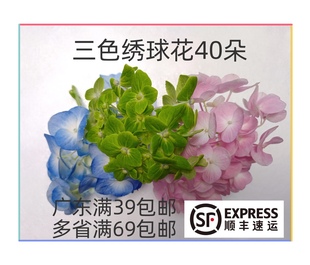 新鲜三色绣球花瓣40朵/盒 酒店西餐日料烘焙花草摆盘装饰点缀