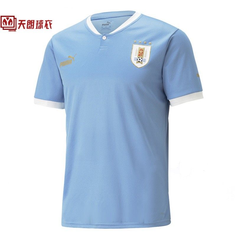 正品2022世界杯乌拉圭队主场球衣球迷球员版短袖足球服77028401