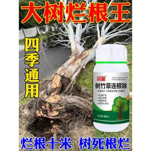 大树烂根药大树一滴死烂根除树强力除草灌木竹子枯树王专用腐蚀剂