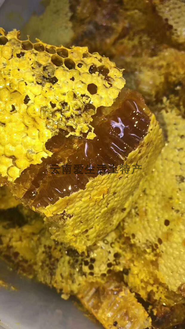 云南省原始森林自然野生挂蜜百花蜜农家采蜂人自产蜂蜜包邮500克