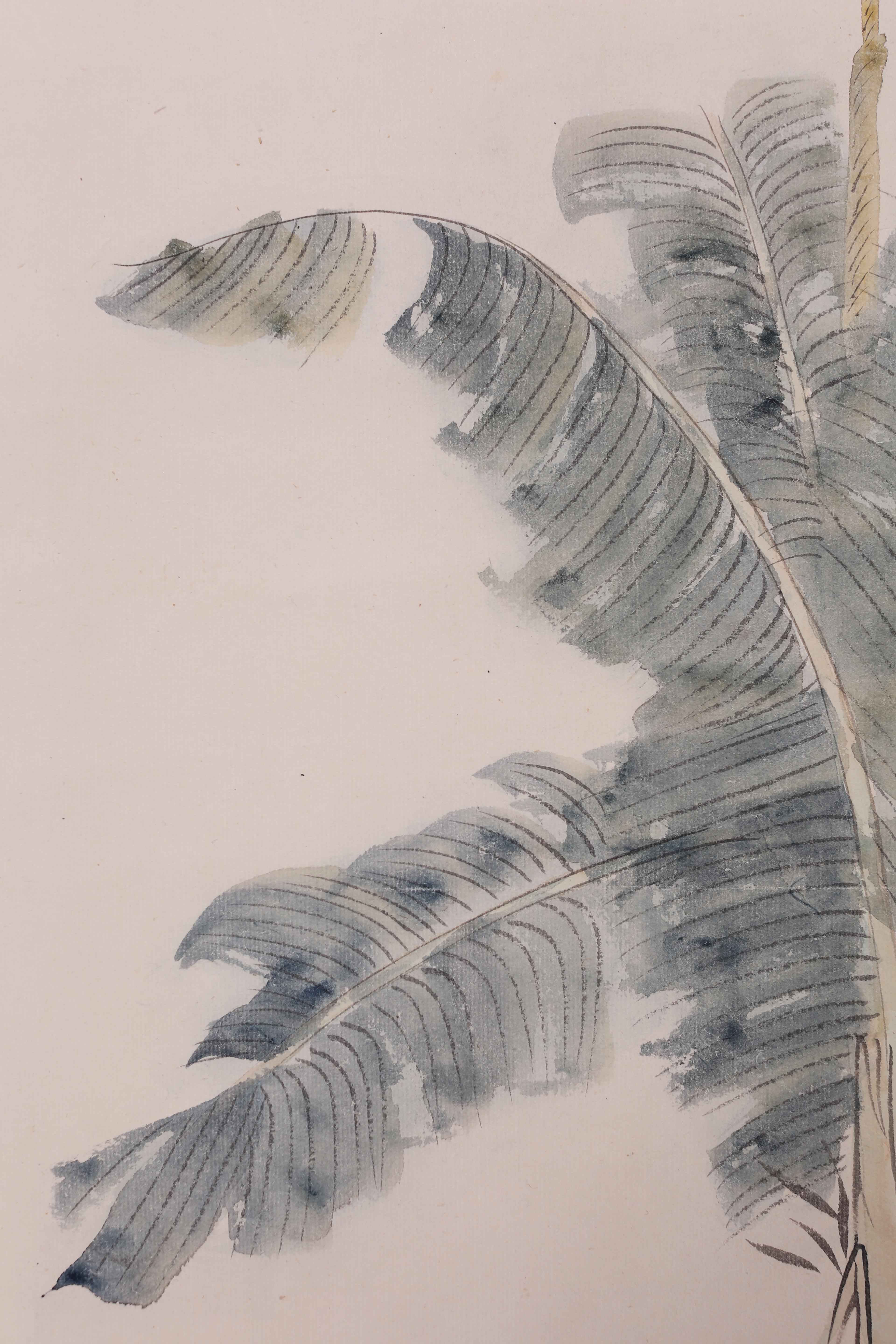 李秋君《芭蕉仕女》tb0648