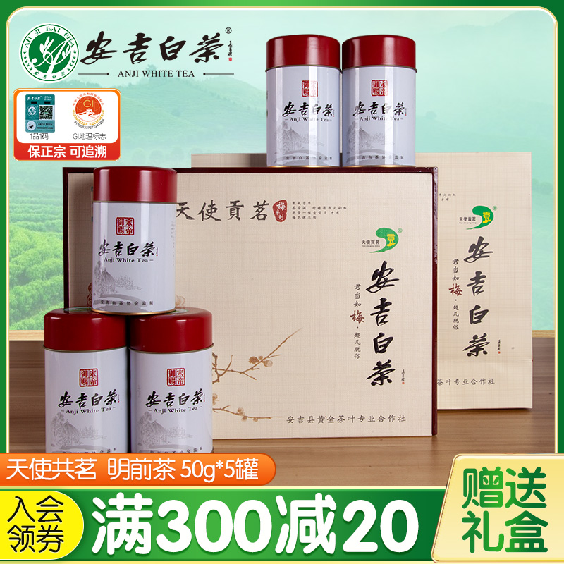 2024新茶 上市天使贡茗安吉白茶