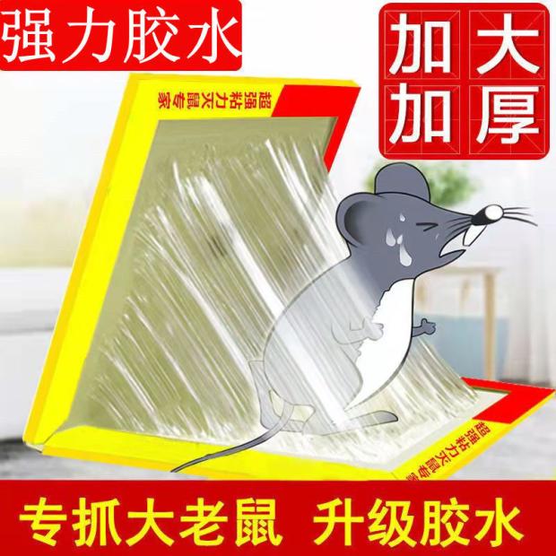 超强力粘鼠板捉抓粘老鼠贴驱捕鼠灭鼠神器克星家用一窝端强力粘板