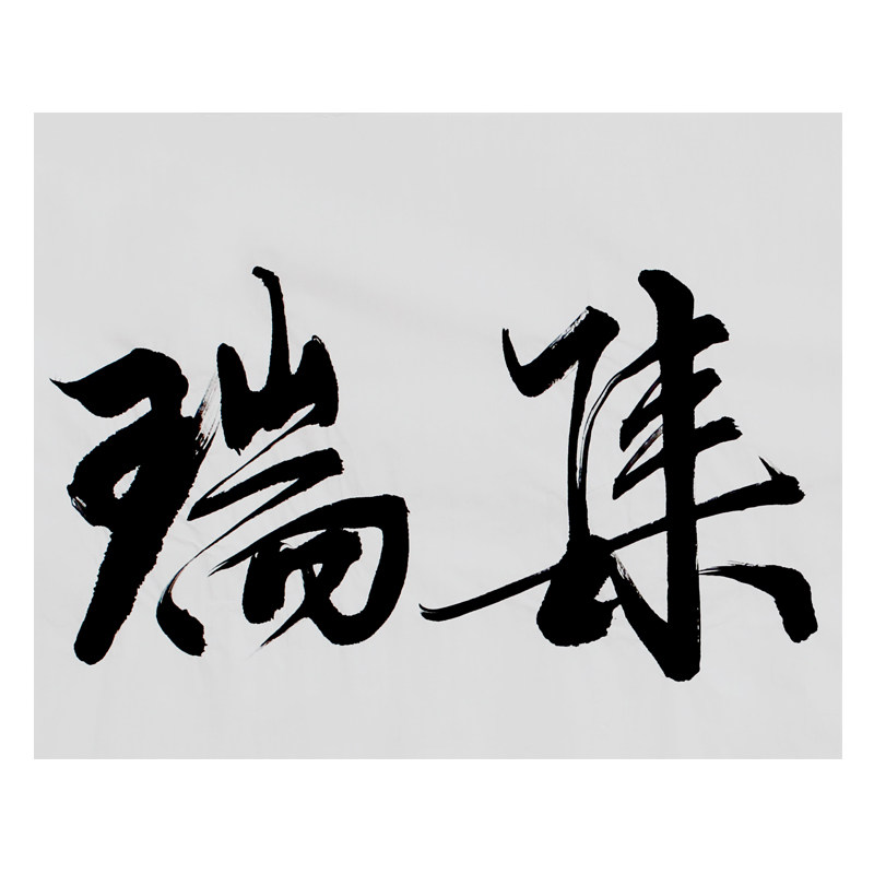 文永安《华堂集瑞》清华美院著名书法家