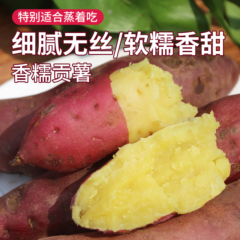 密农人家 新采刨红薯沙地贡薯 适合蒸吃红薯粉糯微甜 番薯3斤地瓜