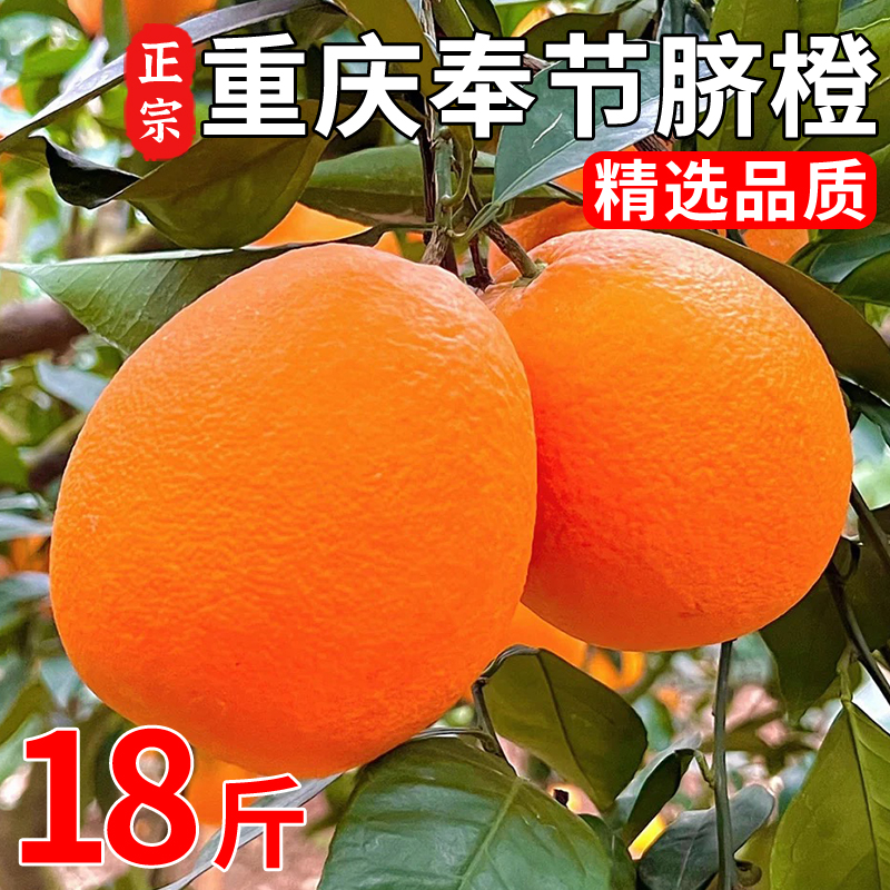 重庆奉节脐橙现摘当季新鲜水果整箱1