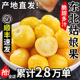 顺丰东北姑娘果5斤特产大果菇娘果水果新鲜整箱当季东北灯笼果黄