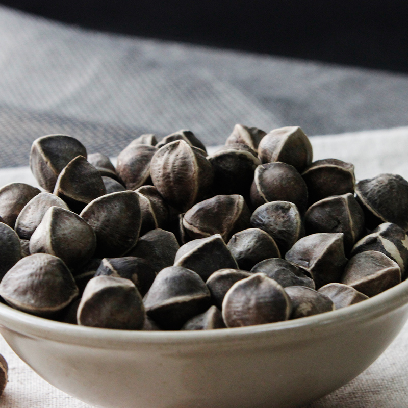 辣木籽食用-特价促销-优惠券领取-价格|多少钱|什么