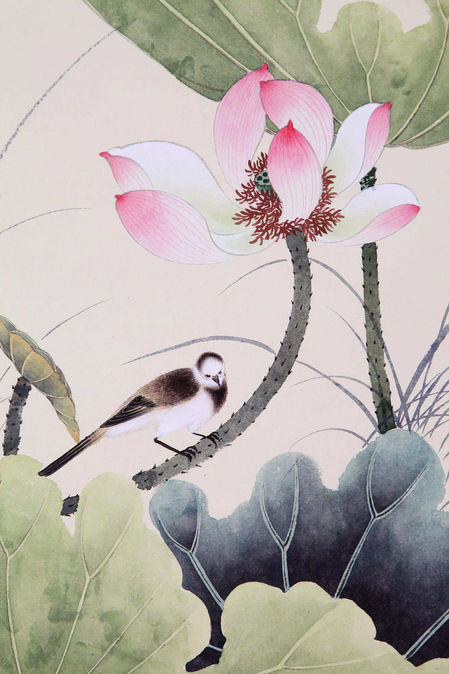 笔墨烟云书画专场(十)  谢稚柳《荷花小鸟》 进入该拍品专场   起拍