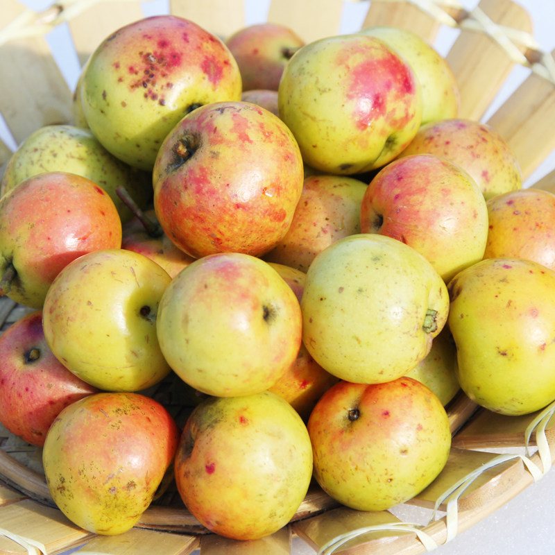 木瓜5斤包邮_5斤云南特产水果多依果新鲜酸多依果野生果孕妇水果非酸